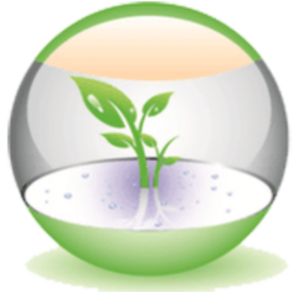 Germe vert dans une sphère transparente